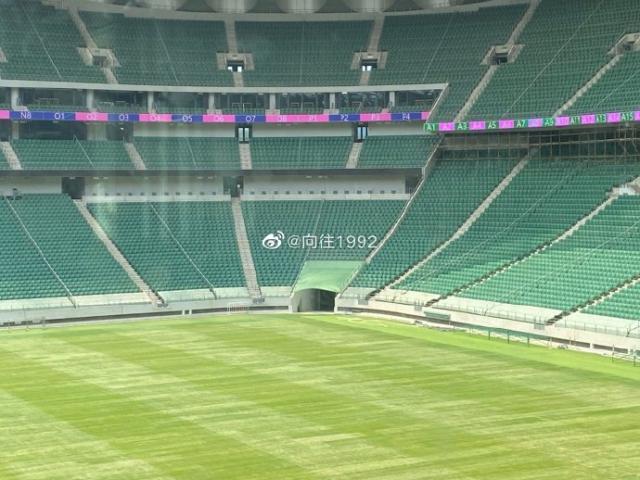 1687736800054061835.jpg gongti.jpg